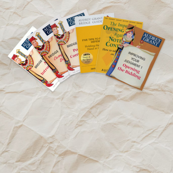 Bridge Basics Series